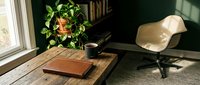 Young professional woman with medium skin tone sitting in modern office chair working on wooden desk with potted plant and notebook, natural window light, contemporary workspace setup.