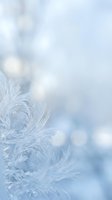 Soft blue feathers with dreamy bokeh lights creating ethereal winter atmosphere for luxury fashion and wellness design projects.