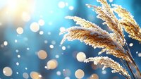 Golden dry reed plumes against blurred blue background with bokeh light effects and sunlight, creating dreamy natural atmosphere. Nature photography.