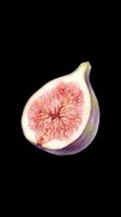 Fresh fig half with vibrant pink interior isolated on transparent background, ready for t-shirt designs, clipart, stickers, print-on-demand products and sublimation projects.