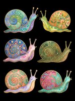 Colorful decorative snails with ornate patterned shells in various vibrant hues, isolated on transparent background. Ready for t-shirt designs, clipart, stickers, sublimation, and print-on-demand products.