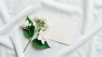 Young woman with fair complexion and long dark hair, wearing casual white clothing, smiling warmly while holding a blank white card or paper against a soft white fabric background with fresh white flowers and green leaves.