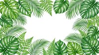 Tropical green leaves frame border with monstera and palm fronds on white background for summer design projects and natural botanical decorations.