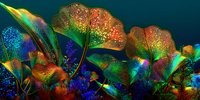 Vibrant iridescent leaves with rainbow holographic effects on dark teal background. Abstract botanical art for modern design projects and creative concepts.
