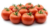 Fresh ripe red tomatoes with green stems isolated on white background for healthy cooking and organic food concepts.