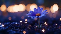 Vibrant blue daisy flower against dark background with magical bokeh lights and water drops, creating dreamy atmospheric nature macro photography effect.