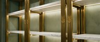 Luxury hotel elevator interior with golden brass details and marble accents featuring modern LED lighting and elegant geometric design elements.