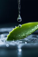 Macro photography of water drops falling on green aloe vera leaf floating in water, with bokeh effect and water splash creating artistic composition.