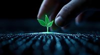 Young green sprout growing from soil with water drops in dark environment, human hand reaching towards plant symbolizing growth, hope and environmental care.
