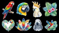 Colorful tropical parrot collection isolated on transparent background, ready for t-shirt design, clipart, stickers, sublimation and print-on-demand projects.