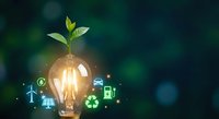 Glowing light bulb with green plant sprout and eco-friendly icons representing sustainable energy, environmental innovation and renewable power solutions.