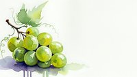 Watercolor green grapes cluster with leaves on white background, fresh fruit illustration for kitchen decor, wine labels and culinary designs.