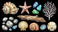 Seashells, starfish, sea glass, and driftwood isolated on transparent background. Ready for t-shirt designs, clipart, stickers, sublimation, and print-on-demand products.