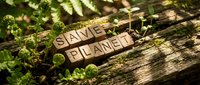 Wooden letter blocks spelling SAVE THE PLANET on moss-covered log in forest setting promoting environmental conservation and sustainability awareness.