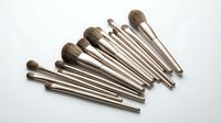 Professional makeup brush set with natural bristles and champagne gold handles arranged on white background for beauty and cosmetics applications.