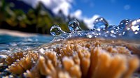 Macro photography of water drops and waves over brown coral reef surface in tropical ocean, dramatic underwater perspective with blue sky visible.