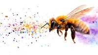 Watercolor honey bee with colorful paint splatter effect on white background, wings spread in flight position. Artistic nature illustration with rainbow droplets trailing behind.