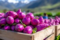 Fresh purple eggplants harvested from local farm, stacked in wooden crate with mountain landscape background, showing organic produce at farmers market.