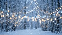 Winter wonderland with glowing string lights creating magical ambiance in snowy forest path. Festive outdoor lighting decoration for holiday celebrations.