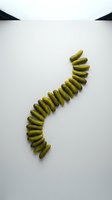 Pickles arranged in curved line on white background, isolated for food packaging, recipe blogs, culinary design, and restaurant marketing materials.