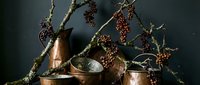Copper pots and pans with autumn berry branches creating rustic kitchen still life composition for seasonal cooking and home decor themes.