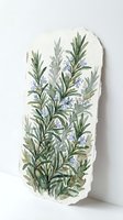 Watercolor painting of rosemary herb with delicate purple flowers on textured cream paper, botanical illustration for culinary and medicinal plant design projects.