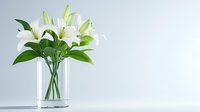 Elegant white lilies with green leaves in clear glass vase against soft blue background, creating serene atmosphere for home decor or special occasions.