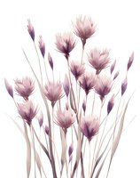 Delicate purple watercolor wildflowers with long stems on white background, soft pastel botanical illustration for wall art, greeting cards and fabric design.