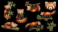 Cute red panda characters in various playful poses with bamboo leaves. Isolated on transparent background, ready for t-shirts, stickers, clipart, sublimation and print-on-demand designs.