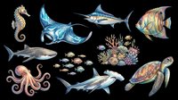 Isolated sea creatures collection featuring seahorse, manta ray, marlin, tropical fish, octopus, shark, sea turtle, and coral reef elements on transparent background. Ready for t-shirt design, clipart, stickers, and print-on-demand projects.