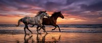 Two horses galloping along ocean beach at sunset with dramatic purple and orange sky reflecting on wet sand creating romantic coastal scene.