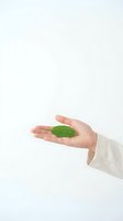 Hand holding fresh green leaf on white background symbolizing environmental care and natural sustainability concepts for eco-friendly business.
