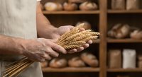 Baker hands holding fresh wheat stalks in artisan bakery with wooden shelves displaying rustic bread loaves for organic baking and traditional craftsmanship.