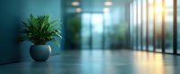 Green plant in blue ceramic pot on floor of modern office corridor with blurred background and sunlight through windows creating peaceful workspace atmosphere.