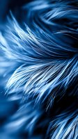Ethereal blue feathers create flowing abstract patterns against dark background, with delicate strands catching light in graceful curves. Suitable for artistic designs.