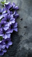 Purple mallow flowers arranged on dark gray stone background with scattered black seeds, creating elegant botanical composition for wellness designs.