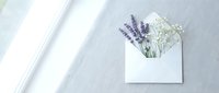 White envelope with fresh lavender and baby's breath flowers on light textured surface with soft natural window light shadows for wedding stationery design.