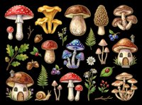 Mushroom and forest flora collection with various species, ferns, berries, and botanical elements isolated on transparent background. Ready for clipart, t-shirt design, stickers, sublimation, and print-on-demand projects.