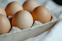 Fresh brown chicken eggs in cardboard carton, selective focus on single egg in foreground, natural light food photography for cooking and baking concepts.