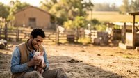 Farmer holding young piglet on rural farm with barn and fencing in background, agricultural livestock care and animal husbandry.