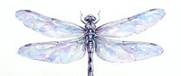Watercolor dragonfly with translucent purple wings and delicate body isolated on white background for nature designs and artistic projects.
