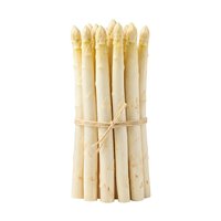 Fresh white asparagus bunch tied with twine, isolated on white background. Suitable for food photography, cooking blogs, recipe websites, restaurant menus, and culinary design projects.