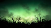 Silhouette of dead trees and bare branches against a dramatic green sky with storm clouds and crescent moon, creating an eerie, apocalyptic atmosphere suitable for horror, fantasy, and environmental themes.