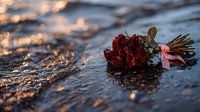 Red rose bouquet with pink ribbon lying on wet reflective surface at sunset, creating romantic atmosphere with golden bokeh light effects and water ripples.