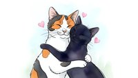 Two adorable cats embracing with hearts floating around them, showing love and affection in cute cartoon style for romantic greeting cards and pet themes.