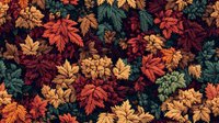 Vibrant autumn maple leaves in orange, burgundy and golden yellow create seamless nature pattern on dark background, seasonal foliage design for fabric and wallpaper.