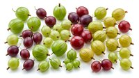 Assorted fresh gooseberries in green, red, and yellow varieties arranged on white background, ready for culinary, nutritional, or agricultural design projects.