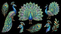 Peacock bird isolated on transparent background, featuring full-body and feather designs. Ready for t-shirt designs, clipart, stickers, sublimation, and print-on-demand products.