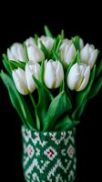 Fresh white tulips in decorative knitted vase cover with traditional Nordic pattern against black background, elegant spring floral arrangement for home decor.
