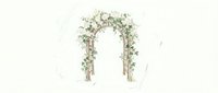 Floral wedding arch decorated with greenery and white flowers on isolated white background, ready for event design and invitations.